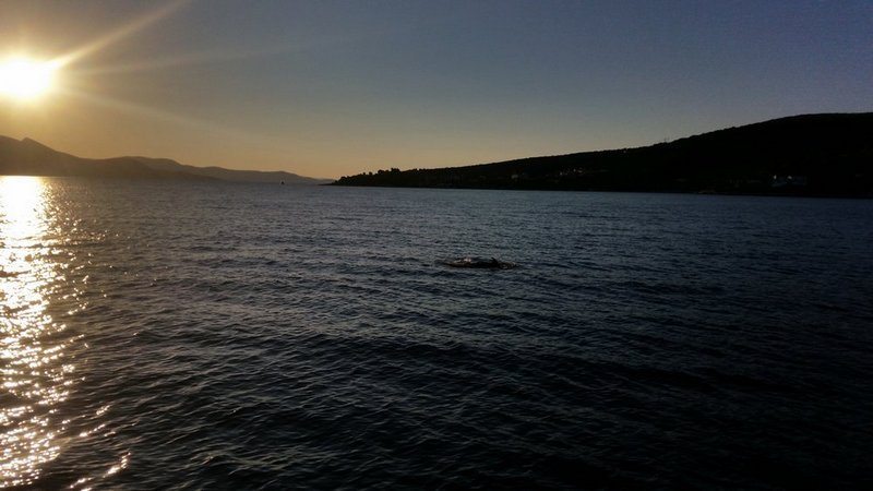 Putem ‘Leta dobrih vibracija 2016’