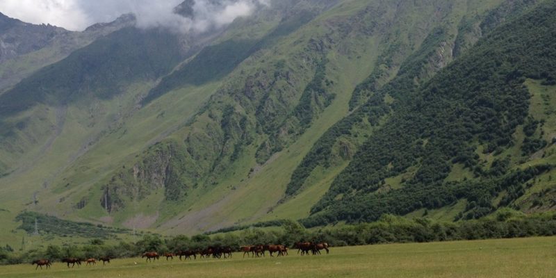 Umetnost ravnoteze na Kavkazu 00004